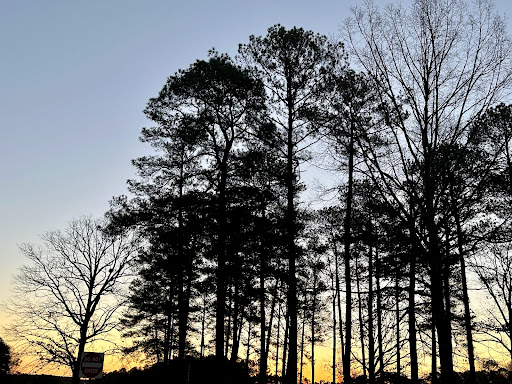 Tuscaloosa County Rest Area - Thumbnail