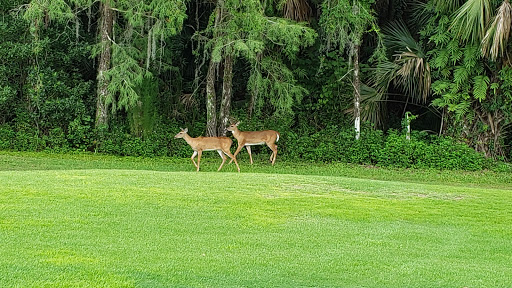 Bonita Bay Club Naples - Thumbnail