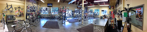 Gregg's Greenlake Cycle Gallery - United States
