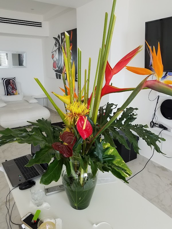 Flowers To Go, Puerto Vallarta — dirección, teléfono, horario de