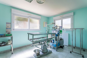 Photo n°25 de Clinique Vétérinaire de l'Escaillon à Martigues (Clinique vétérinaire)