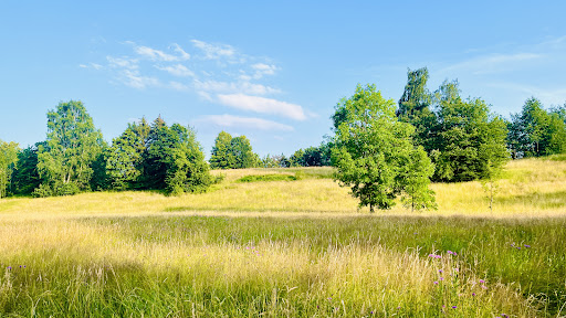 Lehnershügel