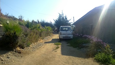 Photos of Hijuela Los Olivos. Mincha Sur
