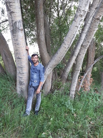 Photos of مجموعه تفریحی ولیعصرعج