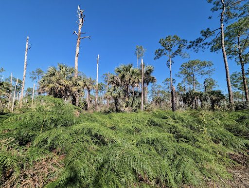 Serenity Walk Park - Thumbnail