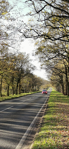 Storeton Village - Thumbnail