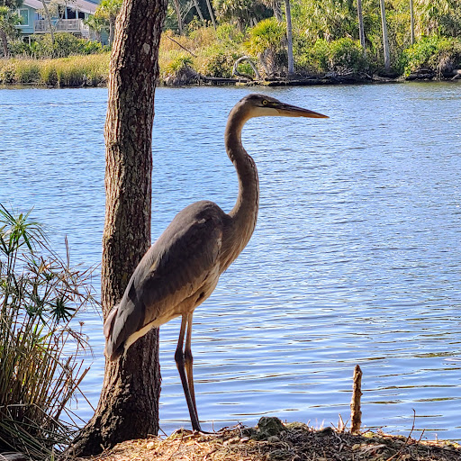 Old Homosassa Heritage Park and Working Waterfront - Thumbnail