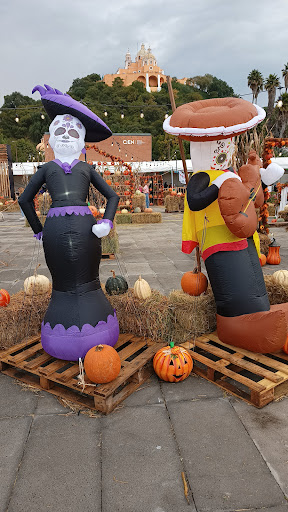 Pumpkin zone - Visual