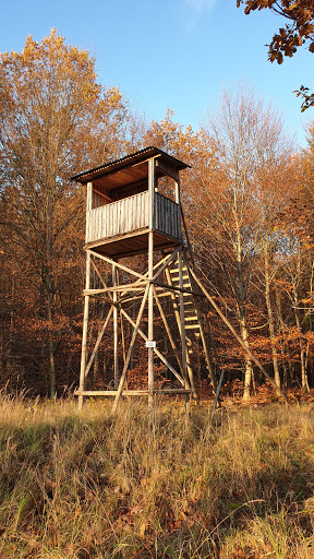 Wildbeobachtungskanzel - Thumbnail