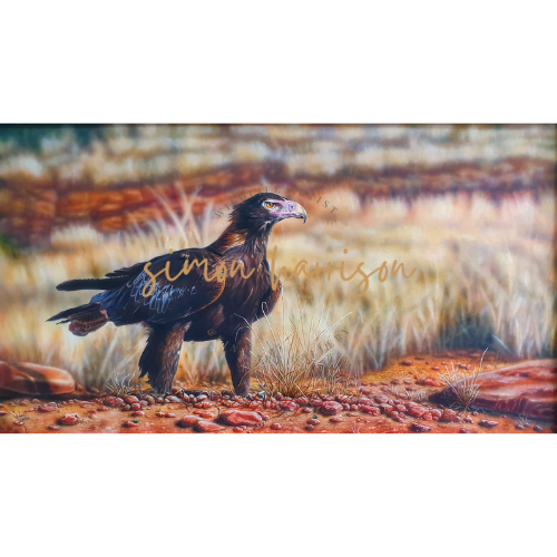 WA Wildlife Art