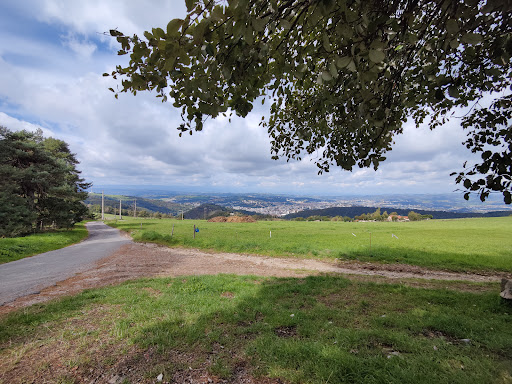 Bench with a view