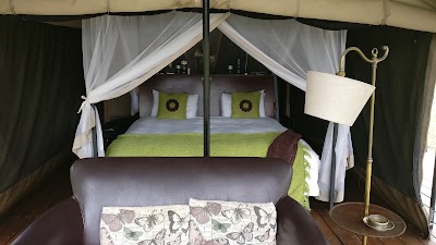 Photos of Honeyguide Mantobeni Camp