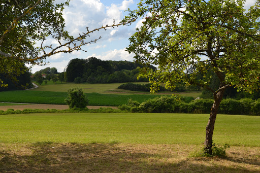 Kugler - Visual