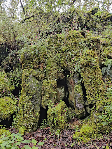 Cuevas de la Huachisca - Thumbnail