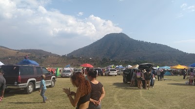 Photos of El Bosque