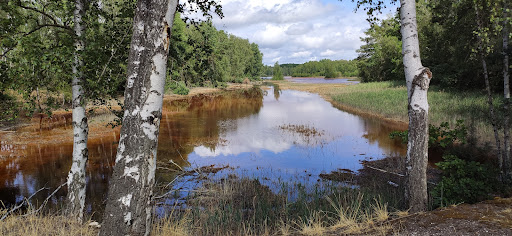 Naturlandschaft Grünewalder Lauch - Thumbnail
