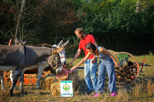 Cascina RaglioDiLuna - Centro per l'Educazione Ambientale e alla Ruralità Logo