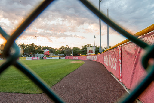 Moccasin Field - Visual