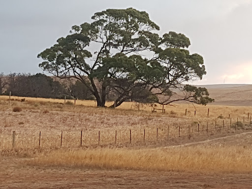 Towitta Campground - Thumbnail