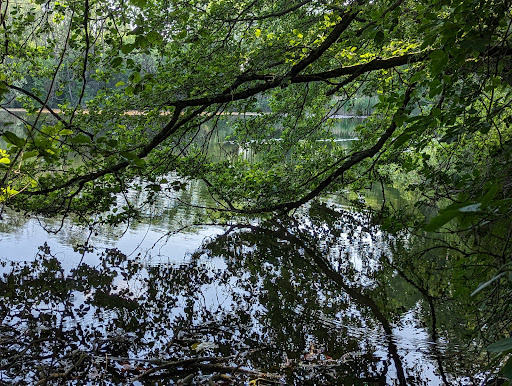 Denkendorfer Erlachsee - Thumbnail