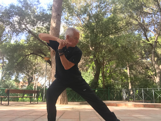 Tibetan Yoga Center Gallery - Spain