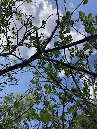 Photo n°18 de Marie VIGNAU à Assat (Psychothérapeute)