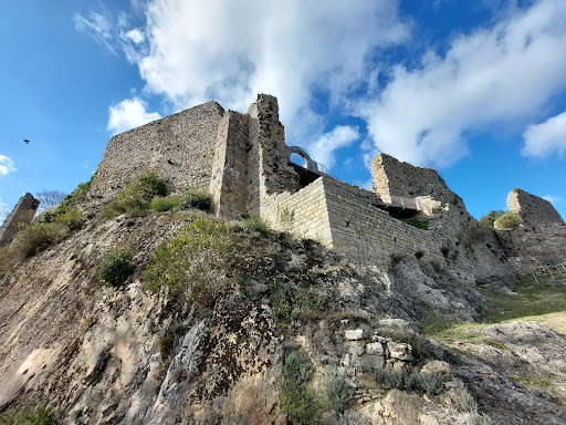 Château de Termes Gallery - France