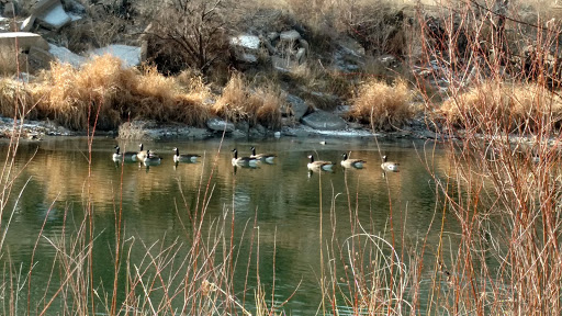 Pillars Park - Thumbnail
