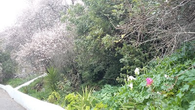 Photos of Los Almendros