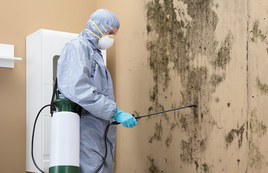 Finch Water Damage Restoration Services photo