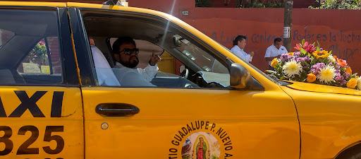 Sitio de taxis "Guadalupe Pueblo Nuevo, Centro." - Thumbnail