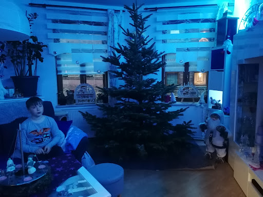 Andreas Meier Spanferkelservice & Weihnachtsbäume - Thumbnail