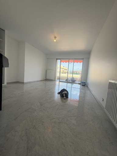 Umi, notre fidèle mascotte, a un flair pour les...