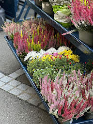 Photo n°16 de Monceau Fleurs Sartrouville à Sartrouville (Boutique de cadeaux)
