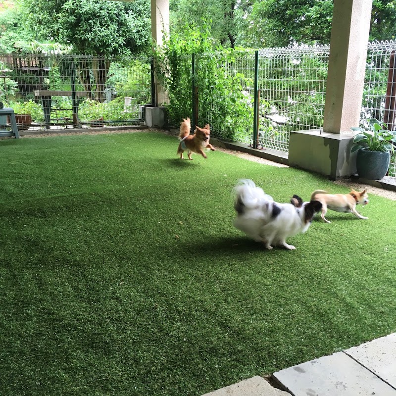 犬の保育園 &ホテル Urinchi dog & life