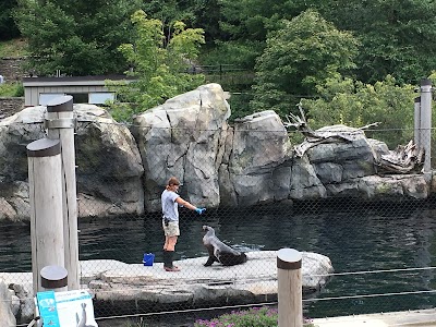 Sea Lion Pool