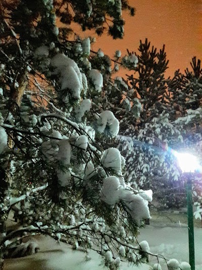 Photos of Zhibek Zholy Hotel