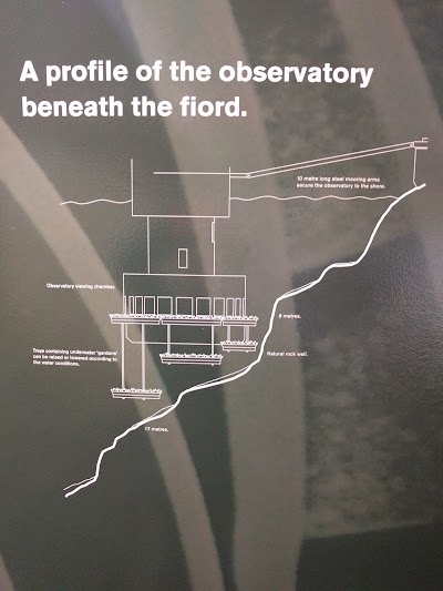 Photos of Milford Sound Under Water Observatory