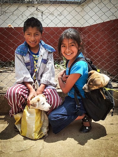 Photos of The Global Alliance for Animals and People