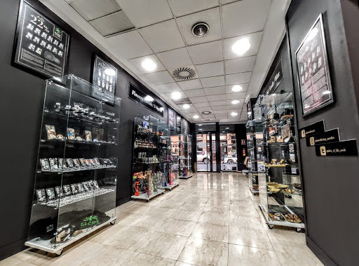 Plant Of Life Castellon CBD - Thumbnail
