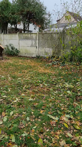 paysagiste david Elagueur jardinier création de jardins spécialisé dans la pose de pelouse en rouleaux - Montfermeil