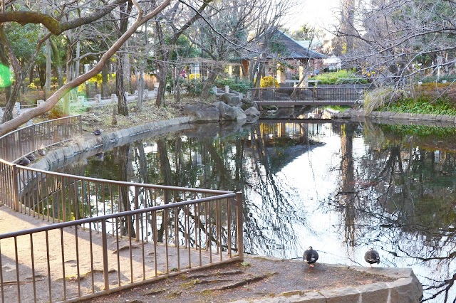 Mabashi Park