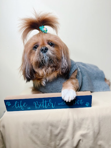 Jax's Galloping Groomer Gallery - United States