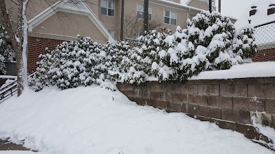 Photos of Residence Inn by Marriott Asheville Biltmore