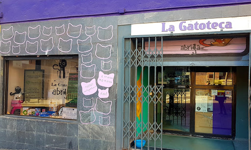 La Gatoteca - Visual