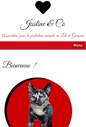Photo n°9 de Association Justine & Co Protection animale en Lot et Garonne à Nérac (Association pour la protection des animaux)
