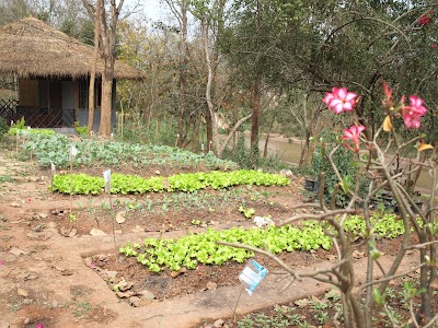 Photos of Indigo Farm