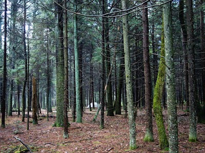 Milesburn Cabin (PATC), Shippensburg, PA