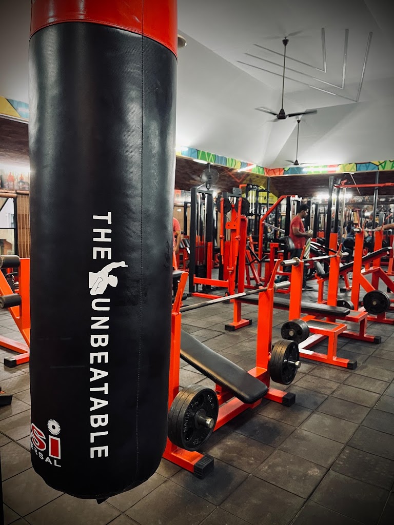 International Fitness