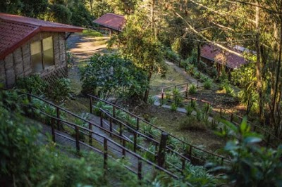Photos of Paraiso Quetzal Lodge